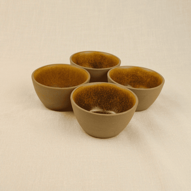Desert Bloom Bowl Set of 4