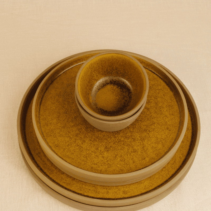 Desert Bloom Dinner Set of 6