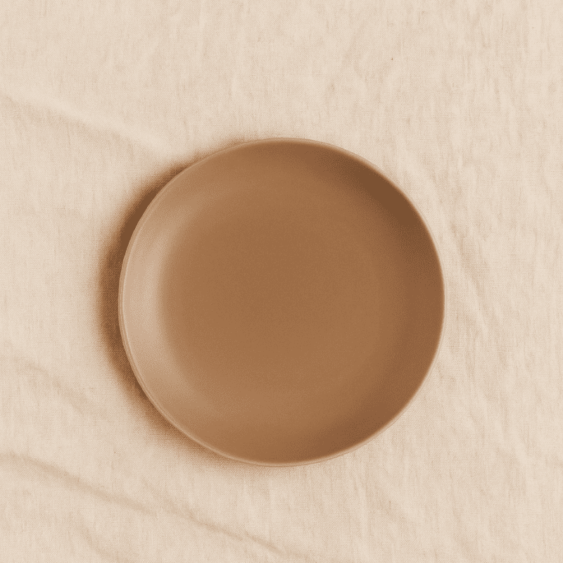 Sienna Clay Dinner Plate Set of 2